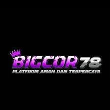 bigcor78 APK FPS